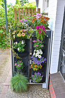 DIY box for the rubbish bins, top and sides with plants