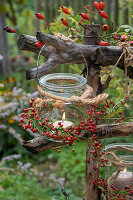 Lanterns decorated with rosehip branches as autumnal garden decoration