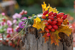 Herbstliches Sträußchen aus Hagebuttenzweigen und Laubblättern