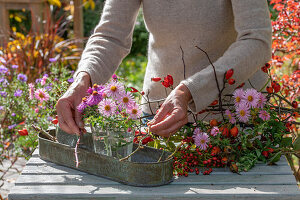 Arrangement of autumn asters and various rose hips