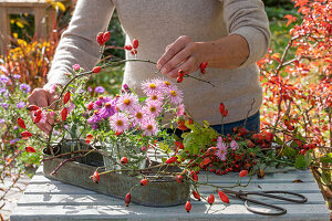 Arrangement of autumn asters and various rose hips