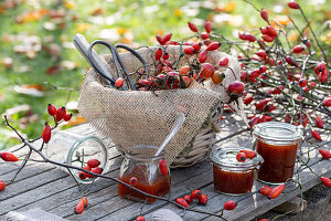 Homemade rosehip jam