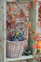 Pumpkins in wicker basket as autumnal decoration