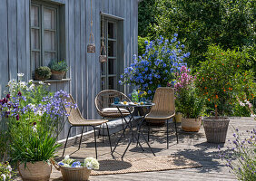 Summer terrace with potted plants