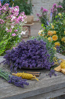 Freshly cut lavender on wooden table