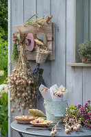 bouquets and stalks for a seed collection on garden table and hung on a coat rack