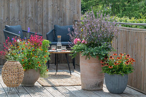 Summer tub planting on the balcony