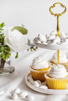 Vanille-Cupcakes und Dragee-Mandeln