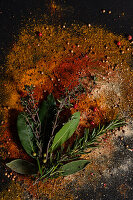 Rosemary, thyme and bay leaves on ground spices