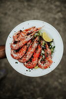 King shrimp with herbs