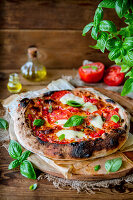 Neapolitan margarita pizza