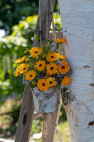 Ringelblumen und Borretsch in Topf aufgehängt an Leiter im Garten