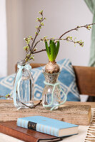 Hyazinthe (Hyacinthus) im Glas und treibender Zweig