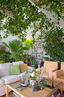 Lounge with green plants in hardy cultivation