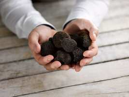 Hands holding Black truffles