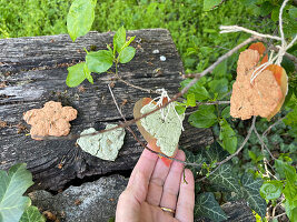 DIY seed paper in the shape of a heart made from flower seeds and egg carton