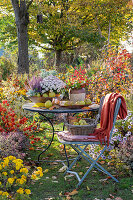 Herbstlicher Bauerngarten mit Herbstastern, Herbstchrysanthemen (Chrysanthemum), Lampionblume (Physalis alkekengi), Gartentisch mit Früchten