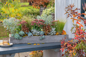 Plant the box with succulents in the fall
