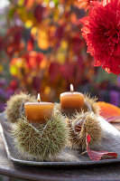 Autumn decorations of candles in chestnuts bowls (Castanea Sativa) and autumn leaves