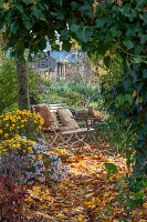 Seat in the garden with autumn chrysanthemums (Chrysanthemum), Hedera (ivy) and autumn leaves