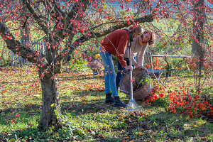 Zwei Frauen bei Gartenarbeit im Herbst