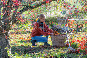 Woman gardening in autumn