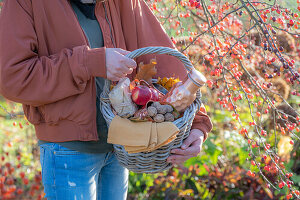 Woman with picnic basket under ornamental apple tree in autumn garden