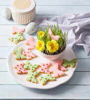 Butterfly cookies