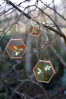 Snowdrops hanging from a branch in a copper-coloured glass frame