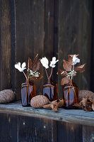 White cyclamen and baby's breath flowers in small brown glass bottles, decorated with dried copper beech leaves