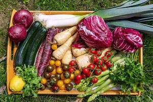 Vegetables and fruit on wooden tray in the grass