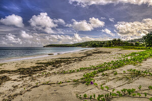 Kumuluswolken über der Dickenson-Bucht; St. John's, Antigua, Westindien