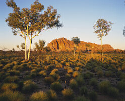 Outback Australien mit einer Felsformation in der Ferne; Northern Territory, Australien