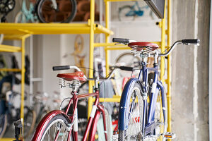 Bicycles inside a bicycle shop