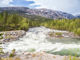 Musken (Masske), ein samisches Dorf in der Nähe des Hellemobotn, der schmalsten Stelle Norwegens, Nordland, Norwegen, Skandinavien, Europa