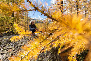 A girl is sitting on a big rock framed from yellow larches in autumn season, Alpe Veglia, Val Cairasca valley, Divedro valley, Ossola valley, Varzo, Piedmont, Italy, Europe