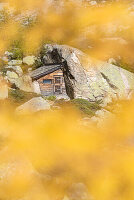 The little house in the rock in thee autumn season, Eita, Val Grosina, Valtellina, Sondrio Province, Lombardy, Italy, Europe