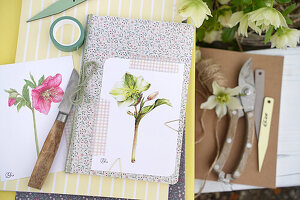 Postcards with Helleborus motif and garden utensils