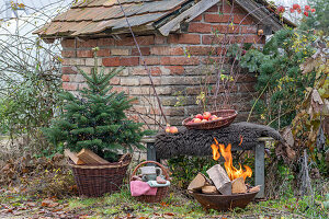 Feuerstelle im Garten mit kleinem Tannenbäumchen, Picknickkorb, Äpfel auf Gartenbank, vor altem Backhaus