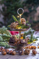 Weihnachtliche Etagere mit Nüssen, Tannenzweigen, Pralinen und Kerzen