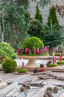 Vier Kerzen auf Baumscheiben mit Moos dekoriert, Mooskugeln und Zapfen, Adventsdeko