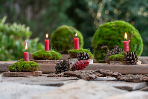 Vier Kerzen auf Baumscheiben mit Moos und Zapfen dekoriert, Adventsdeko