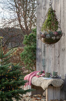 Zuckerhutfichte 'Conica' (Picea glauca) in Blumenampel mit Christbaumkugeln als Weihnachtsdekoration an Hauswand,  Sitzbank mit Kaffeetassen im Garten