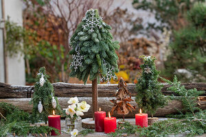 Minichristbäumchen gesteckt aus Zweigen der  Kanadischen Hemlocktanne (Tsuga canadensis) und Stech-Fichte (Picea pungens, Christrose (Helleborus Niger) in Vase, und Kerzen, Weihnachtsdeko auf der Terrasse