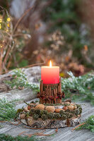 Zimtstangen als Kerzenhalter, Zapfen und Nüsse auf Baumscheibe, Weihnachtsdekoration auf Gartentisch