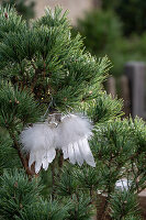 Verschneite Kiefernzweige mit Federnanhänger dekoriert im Garten