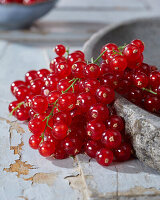 Rote Johannisbeeren