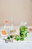 Grappa with wild strawberry leaves