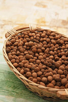 Freshly collected almonds