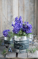 Hyacinths (Hyacinthus) in tins with decoration on a wooden table